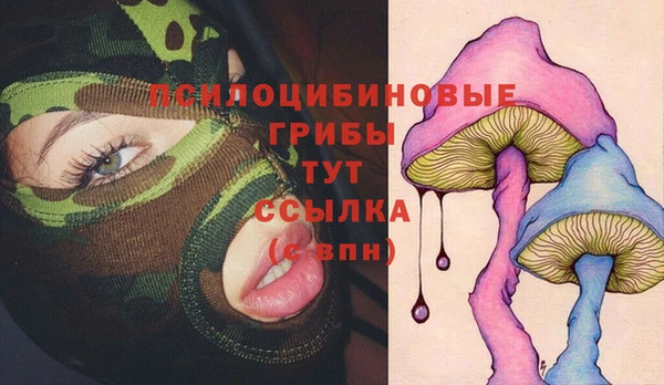 мяу мяу мука Белокуриха