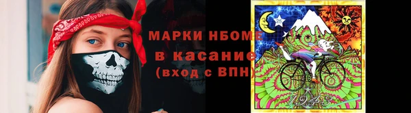 гашиш Богданович