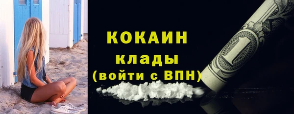 гашиш Богданович