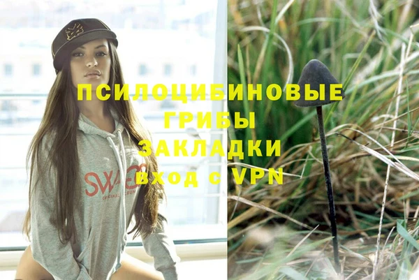 мяу мяу мука Белокуриха